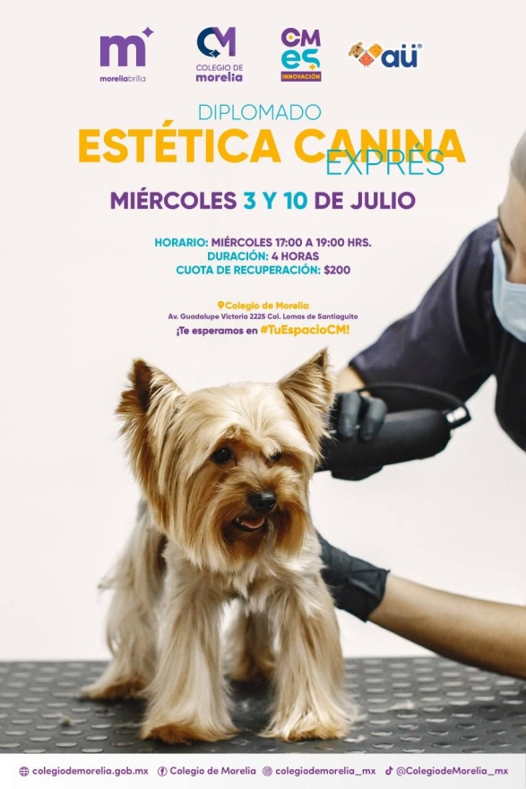 Colegio de Morelia abre talleres para el Bienestar Animal 
