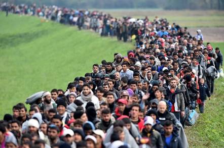 Conmemoremos el Día Internacional de la Solidaridad Humana y Actuemos Ahora 