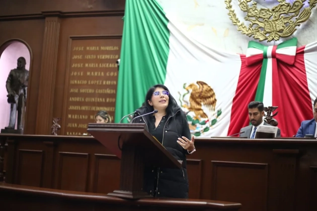 Que las personas con discapacidad sean tutelares de sus propios derechos, propone la Dip. Vanhe Caratachea 