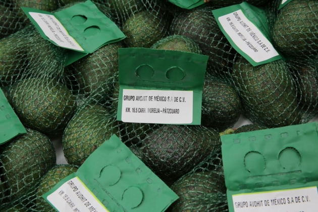 Michoacán, primer lugar nacional en exportaciones agrícolas 
