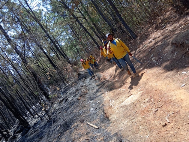Controlado al 100 % el incendio forestal en Ario gracias al helicóptero con helibalde 