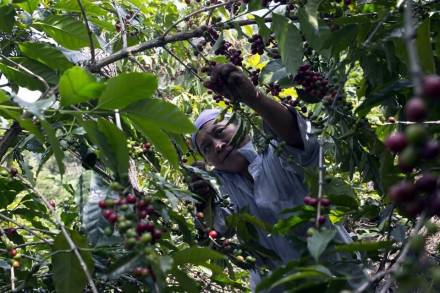 Capacitan en materia sustentable a Productores de todo el País 