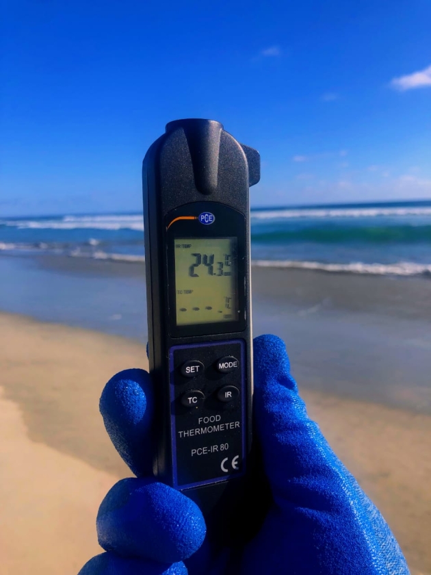 Se vigila sanidad de 12 playas michoacanas