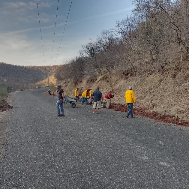 Brigadistas atienden 2 incendios forestales en Coalcomán-Chinicuila y Erongarícuaro 