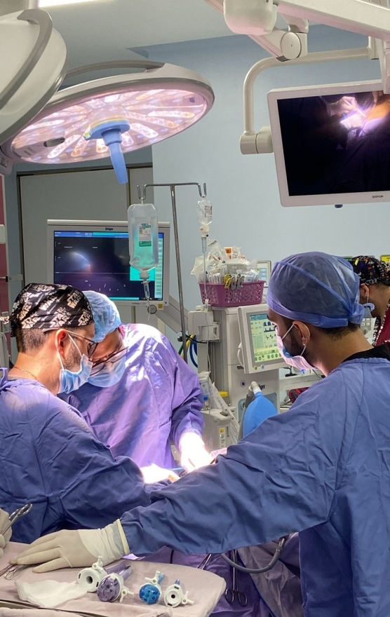 Reactiva Hospital de la Mujer programa de trasplantes de órganos: SSM 