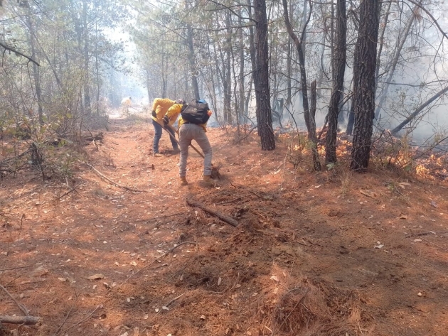 Atienden incendio en Charo; apagan uno en Chinicuila y controlan 2 en Coalcomán y Aguililla 