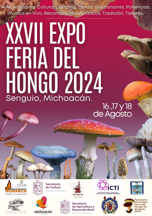 Llegó “hongosto” y la feria de Senguio te espera con más de 100 variedades 