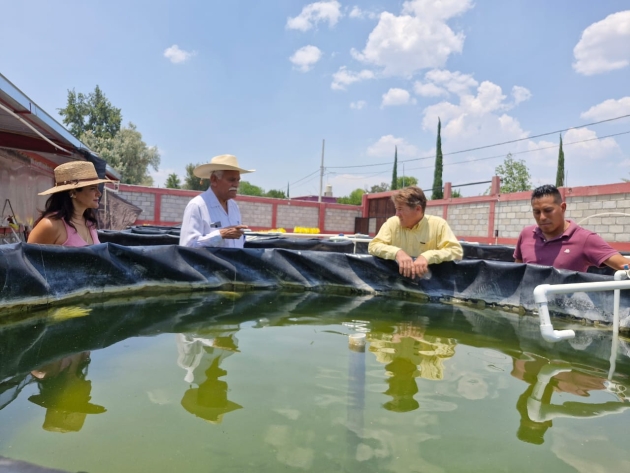 Avanza proyecto acuícola migrante para el rescate del pescado blanco 