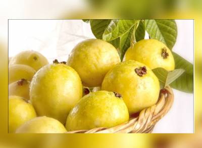 Michoacán produce el 54.2 por ciento de la guayaba del País    