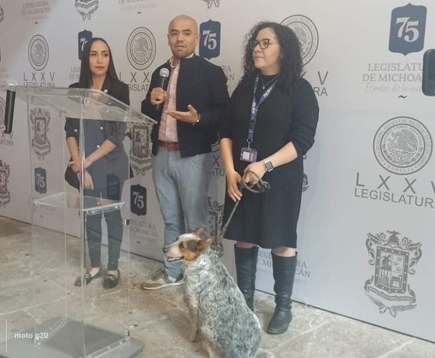 Invitan al Mascota Fest 2023 el sábado 28 octubre, en la Calzada de San Antonio de San Miguel