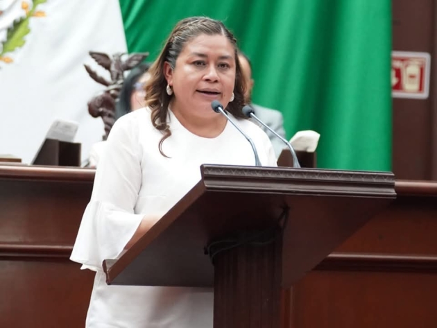 Pide la Dip. Belinda Iturbide que ayuntamientos respeten normas ambientales en basureros municipales 