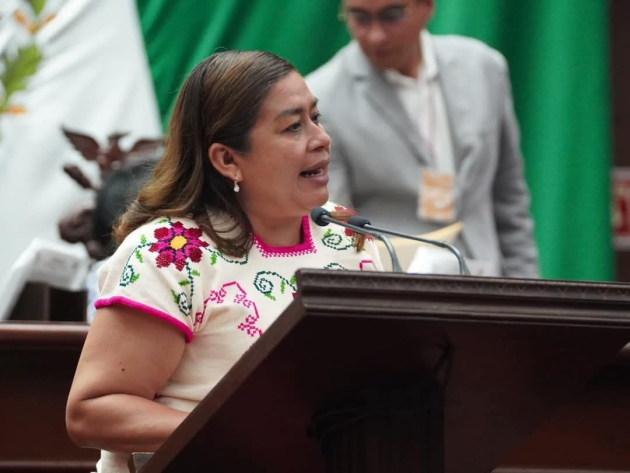 Propone la Diputada  Belinda Iturbide reforma a la Ley de Salud 