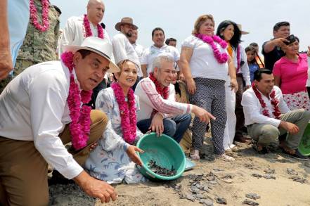 Campamentos tortugueros serán respaldados por Gobierno de Michoacán