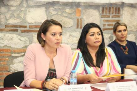 Losas 118 niños registrados en el Parlamento Infantil serán escuchados en el Congreso del Estado: Yarabí Ãvila