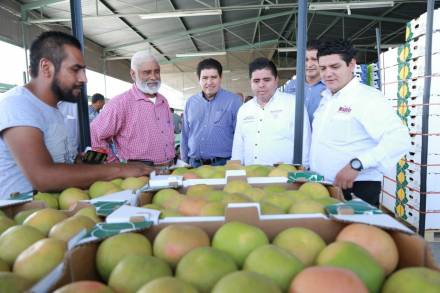 Programas federales para el desarrollo de las comunidades: Roberto Pantoja