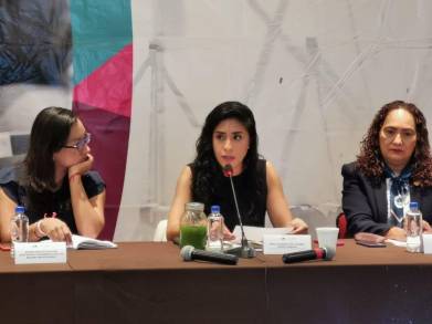 Presentan Plataforma de seguimiento a la estrategia de prevención de embarazo adolescente 