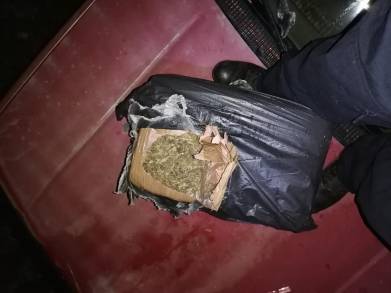   Asegura SSP aproximadamente 60 kilogramos de marihuana