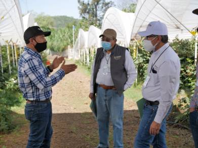 Gobierno de México intensifica la reactivación y rescate del campo michoacano