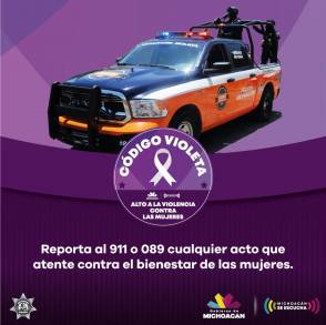Atendidas 17 mujeres por violencia de género a través del Código Violeta 