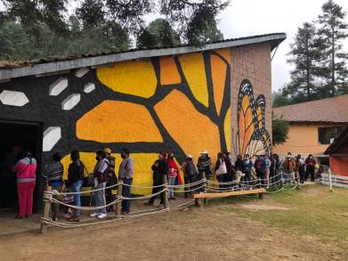 Capacita SECTUR a prestadores de servicios de la región de los Santuarios de la Mariposa Monarca