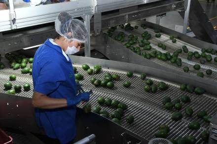 Michoacán recupera empleos formales perdidos durante la pandemia 
