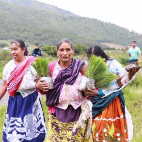 Respalda Gobierno de Michoacán a comunidades indígenas en presentación de áreas naturales 