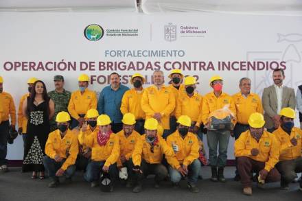 Michoacán deja el top 10 de los estados con mayor afectación forestal por incendios: Ramírez Bedolla 