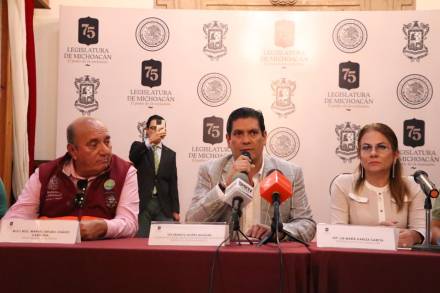 Urgente, estudio de impacto ambiental en obras del Lago de Camécuaro: Dip. Ernesto Núñez 