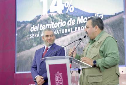 Michoacán usa tecnología satelital para denunciar cambio de uso de suelo 