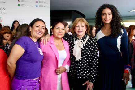 Â¡Lo hemos logrado!, ni un agresor al poder: PRD  