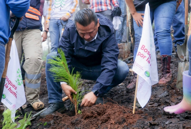 Encabeza Torres Piña reforestación en cerro La Mezcalera 