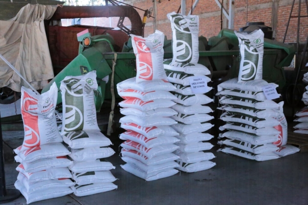 Estos son los requisitos para que pequeños productores reciban fertilizante gratuito 
