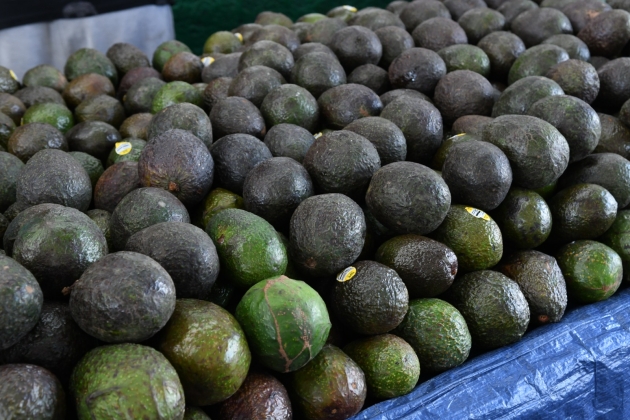 Michoacán enviará 130 mil toneladas de aguacate para el Super Bowl 