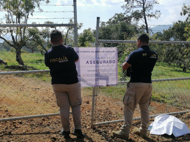 En cateo asegura la Fiscalía General predio relacionado en la Plantación Ilegal de Aguacate y Tala 