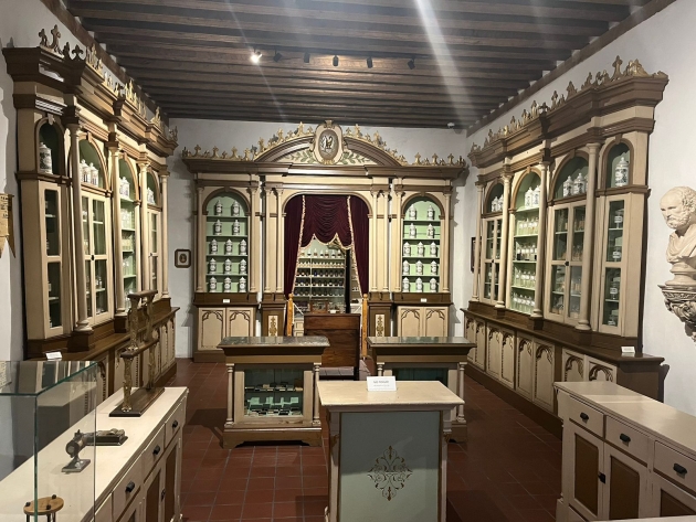 El Museo del Estado  Invita a Tres Interesantes Exposiciones que no te puedes perder 