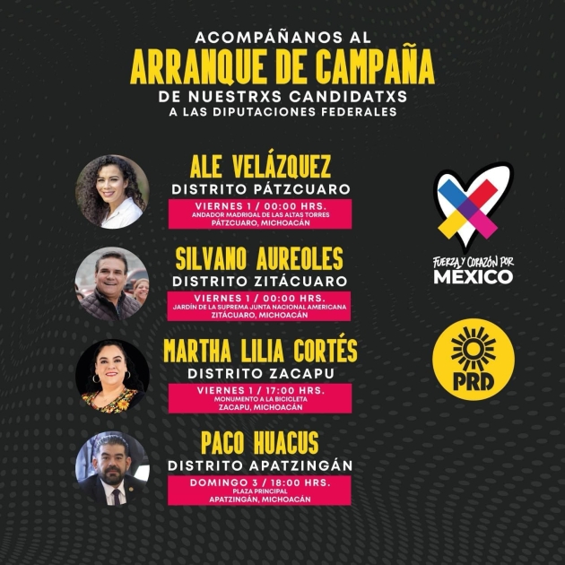 Con la Revolución Amarilla del PRD, vamos por el triunfo en diputaciones federales  