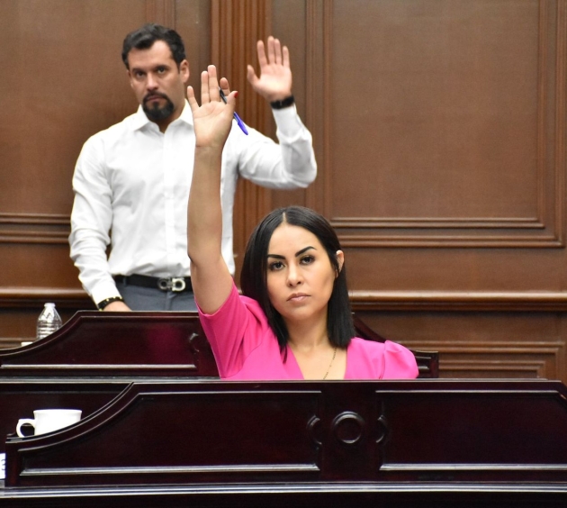 Se debe redoblar la marcha para concientizar sobre cuidados durante el embarazo: Gloria Tapia 