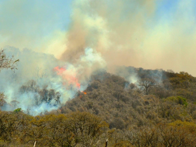 Se realiza operativo de sobrevuelo de dron para atender incendio en el cerro del Quinceo 