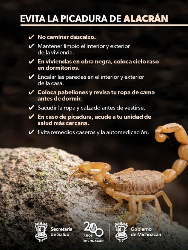 Prevé las picaduras de Alacrán con estas recomendaciones de la SSM 