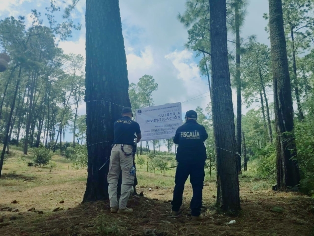 Cumplimenta FGE orden de cateo y asegura predio relacionado en Delitos contra el Ambiente