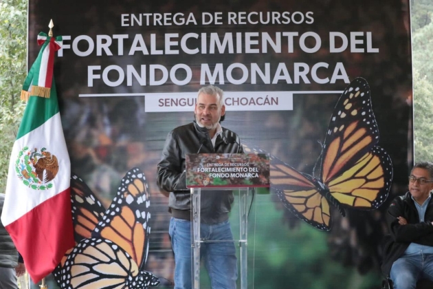 Michoacán celebra que EUA asuma responsabilidad del cuidado de la Monarca: Ramírez Bedolla 