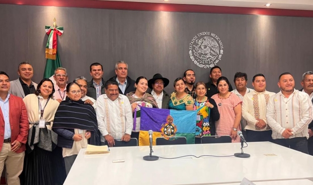 Avanzan Estado y Federación en construcción de Plan de Justicia Indígena: Torres Piña