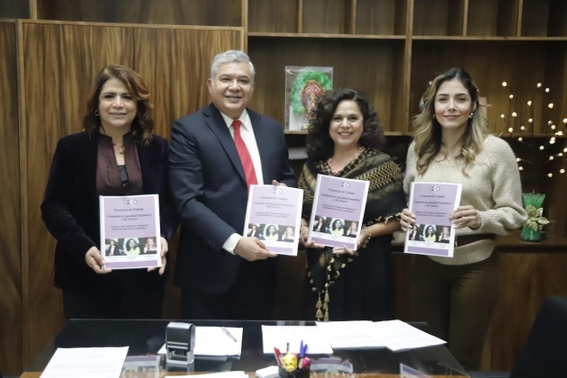 El trabajo  legislativo para garantizar la igualdad sustantiva activa: Dip. Brissa Arroyo 
