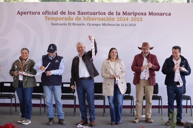 Ante millones de Mariposas Monarca, Michoacán vive un espectáculo único en el mundo: Ramírez Bedolla 