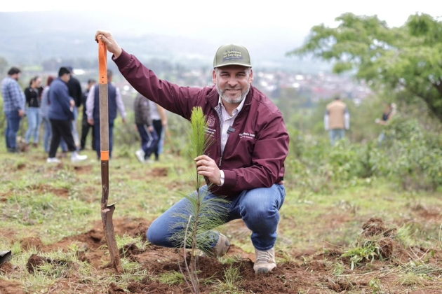 Se avanzó en la recuperación del lago de Pátzcuaro; se plantaron 1.8 millones de árboles: ARB 
