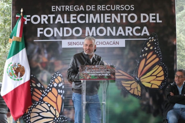 Con Fondo Monarca aumentó pago de servicios ambientales para cuidar la mariposa: Ramírez Bedolla 