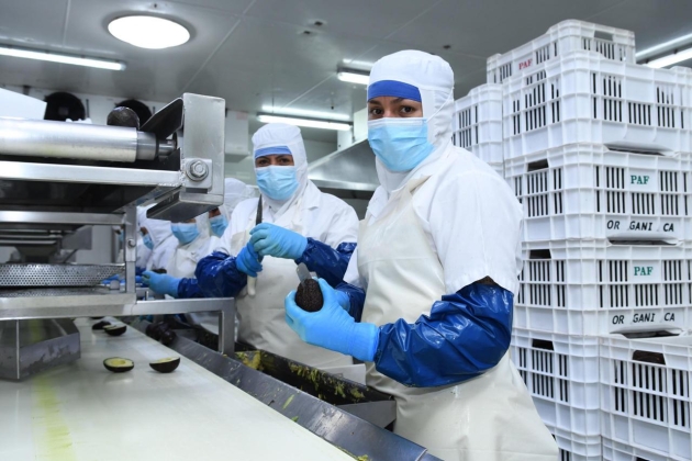 Michoacán, entre los 10 estados con más generación de empleo: Sedeco 