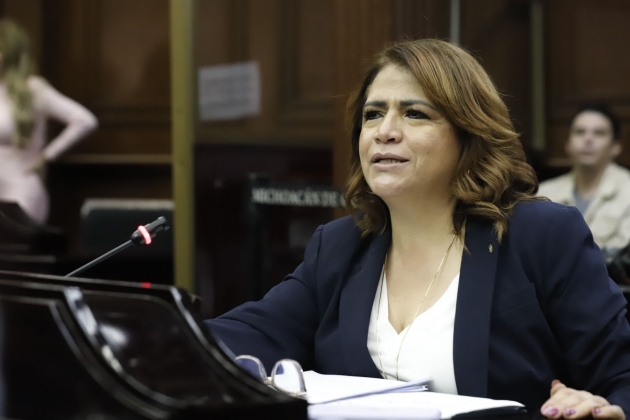 Elección judicial, un proceso histórico y abierto: Fabiola Alanís 