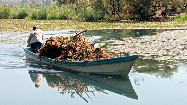 Avanza rescate de La Mintzita; extraídos más de mil metros cúbicos de maleza: Secma 