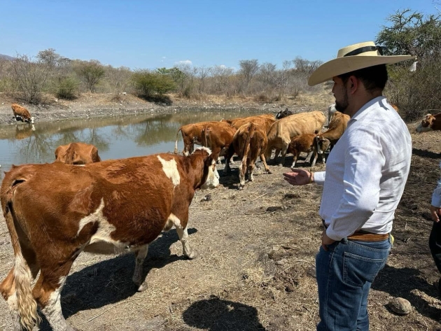 PRD Michoacán cierra filas con productores ante aranceles de Estados Unidos: Octavio Ocampo 